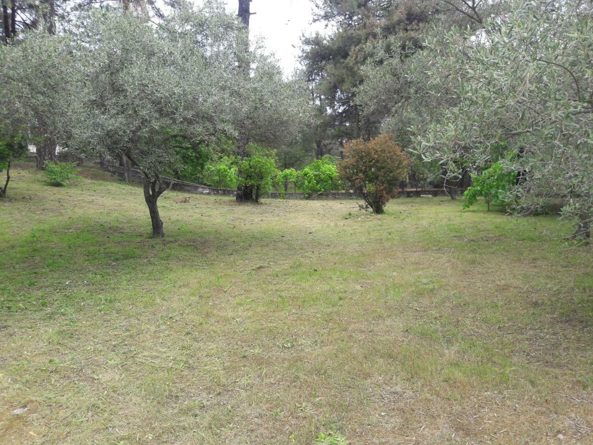 Villa Leo Glykadi Екстериор снимка
